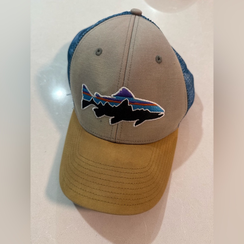 Patagonia Navy Mesh Snapback Hat